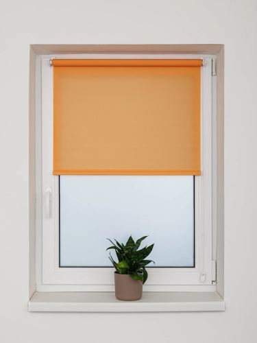 Soubor_(1)